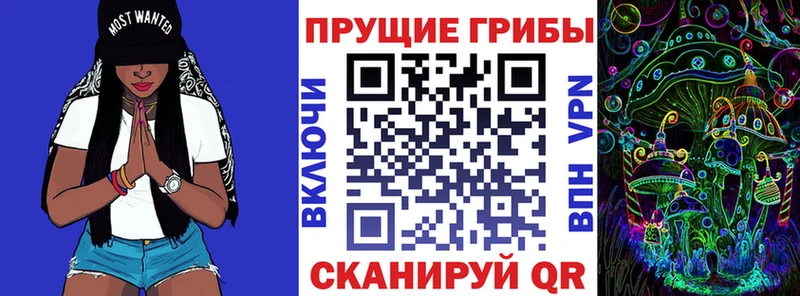 darknet какой сайт  Подпорожье  Псилоцибиновые грибы Psilocybine cubensis 